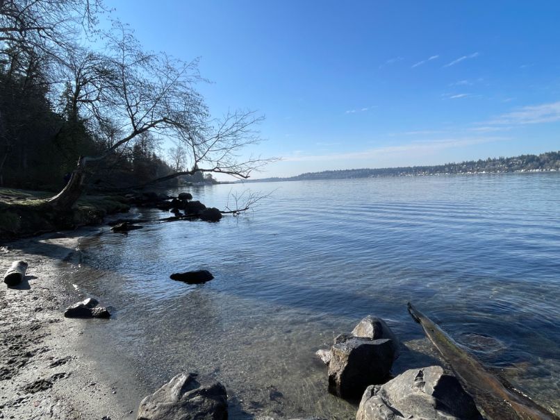 Lake Washington view