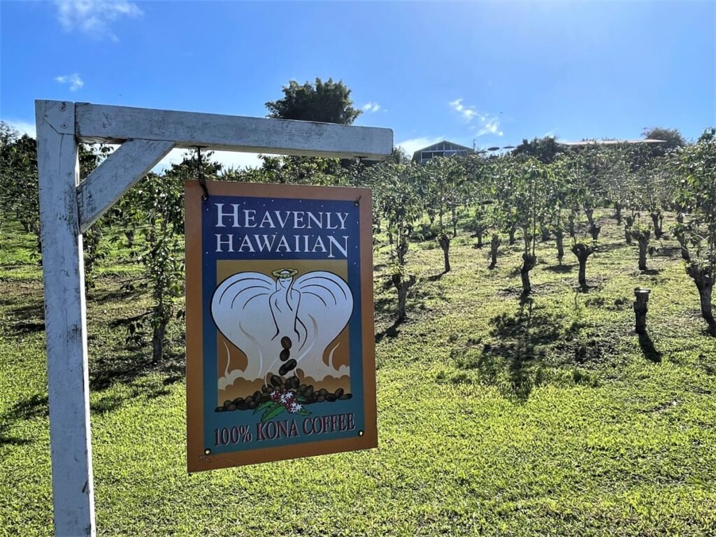 Take a coffee tour at Heavenly Hawaiian