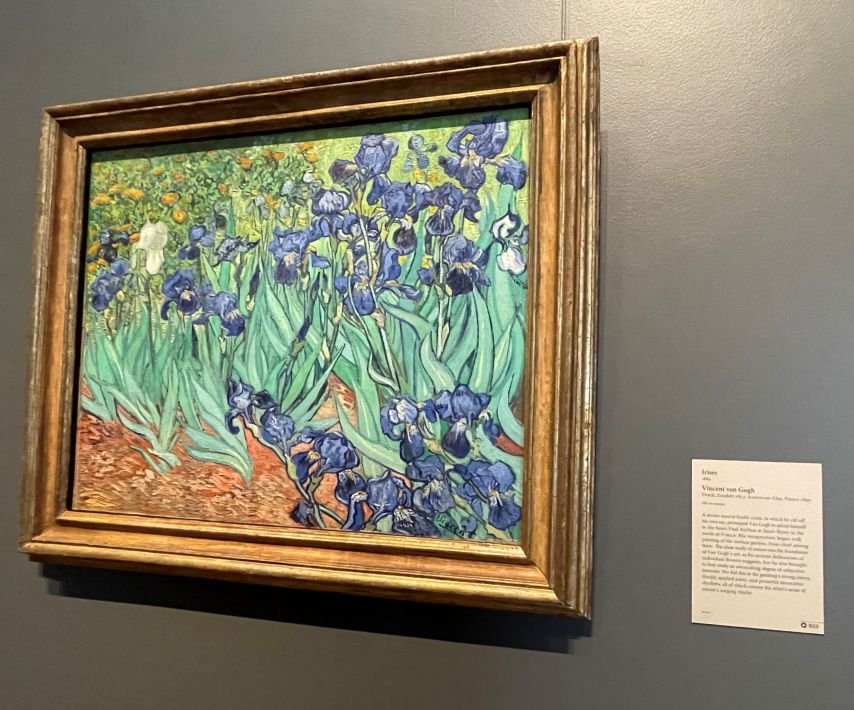 Van Gogh's famous Irises at the Getty Center