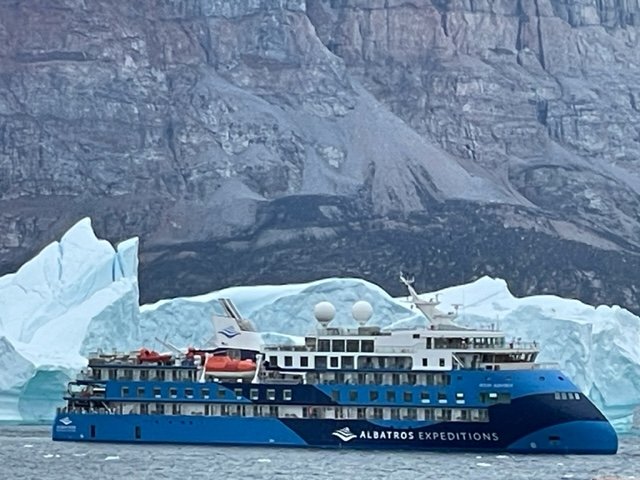 Ocean Albatross