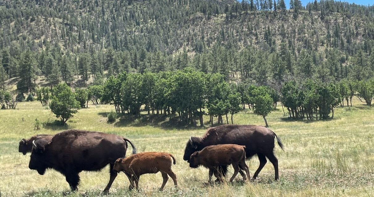 Heaven On Earth Ranch