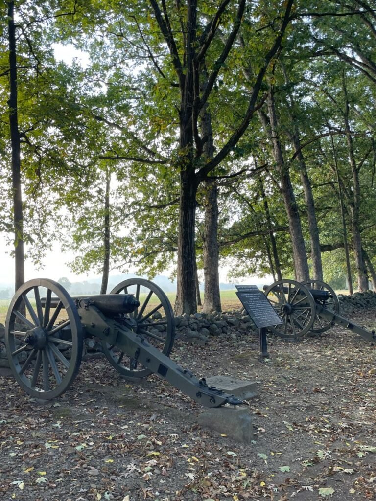 Cannons at the battlefield