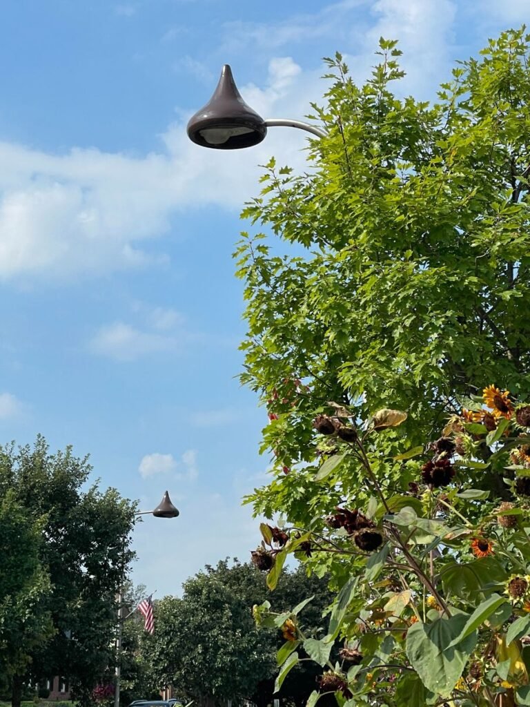 Streetlights along Chocolate Avenue are shaped like Hershey Kisses