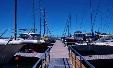 Sustainable Practices For Dock Maintenance and Repair