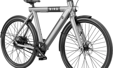 Wellbots BirdBike e-Bike Blends Eco-Conscious Commutes with Technical Innovation