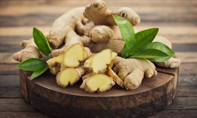 Ginger – the Root of Healing
