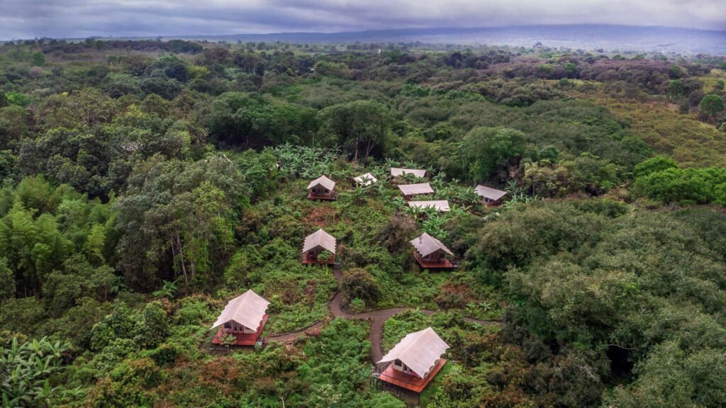 Scalesia Lodge in the Galapagos Islands - Scalesia Lodge