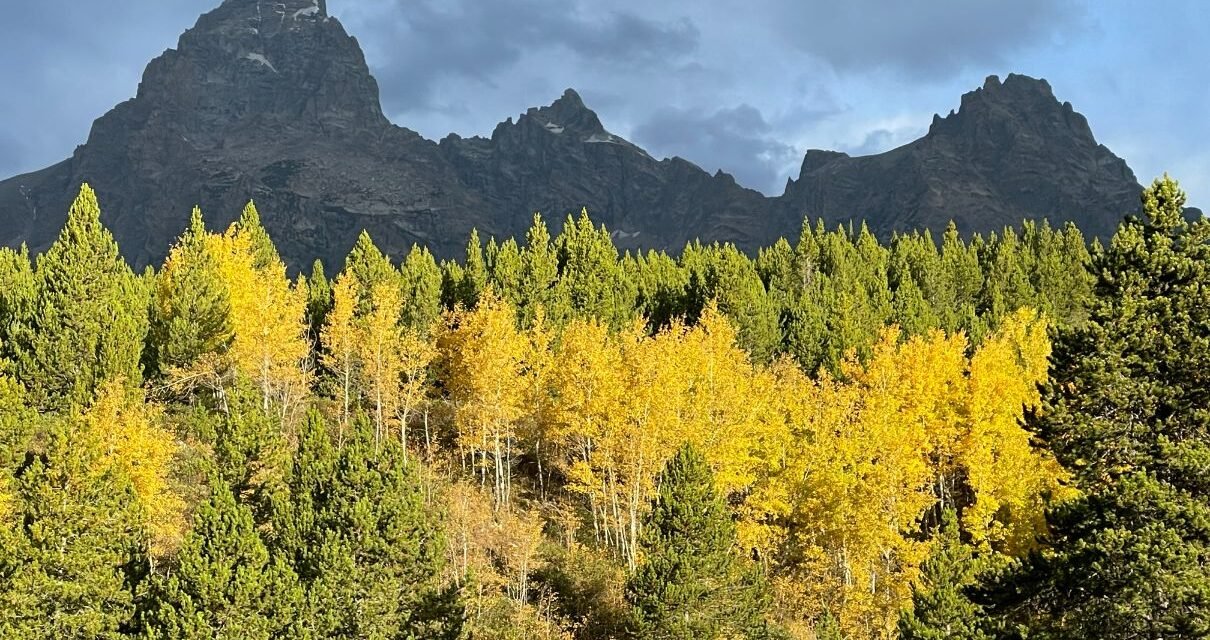 Experience the magic of Grand Teton National Park in the fall