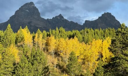 Experience the magic of Grand Teton National Park in the fall