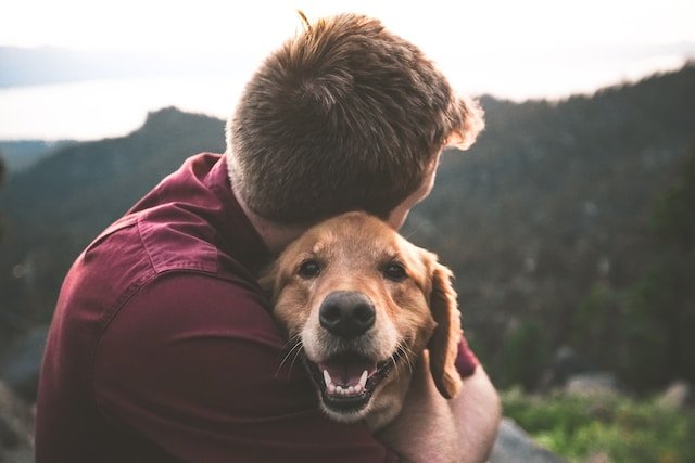 hugging a dog