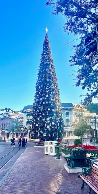 Holiday trees throughout the parks. Photo Jill Weinlein