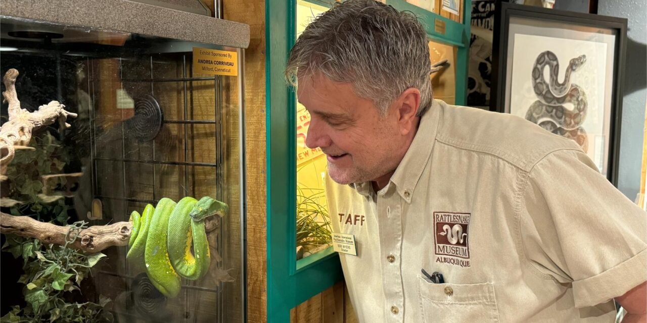 A visit to this museum might just change your attitude towards snakes!