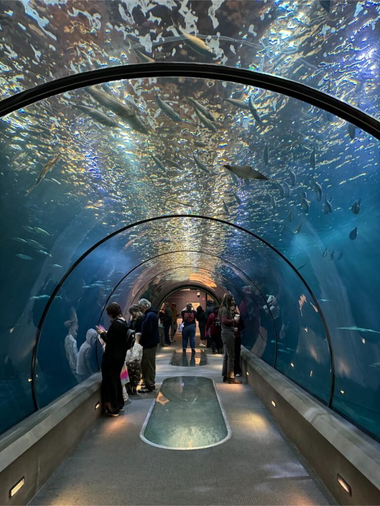 Inside the Oregon Coast Aquarium