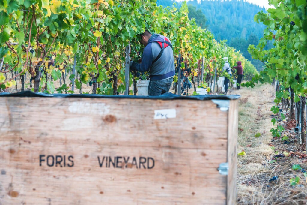 Foris Vineyard credit Foris Vineyard