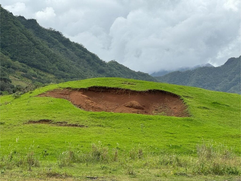 Godzilla footprint