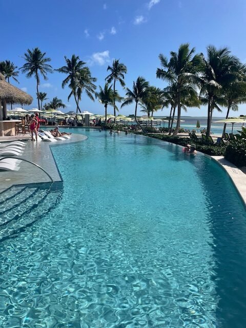 Infinity Pool overlooking Hideaway Beach. Photo Jill Weinlein