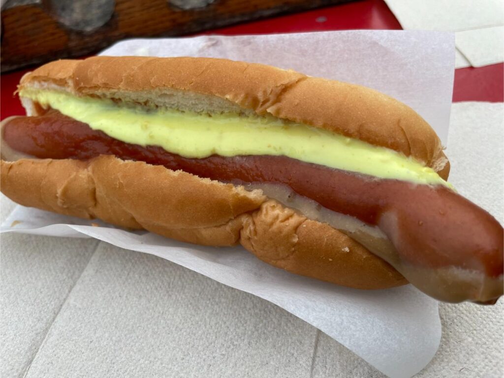 The Famous Iceland Hotdog