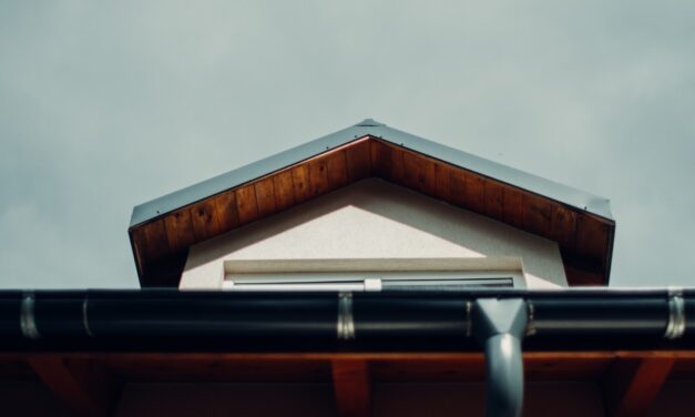 How To Clean Your Gutters From The Ground