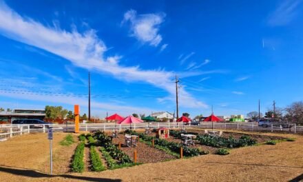 Amadio Ranch, A Destination Farm and City Center