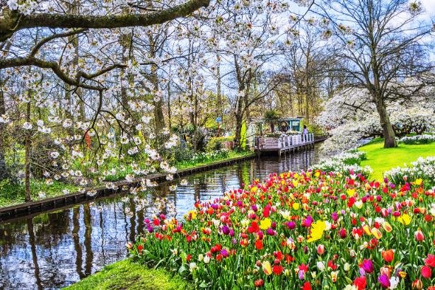 Must-see flower spots this spring