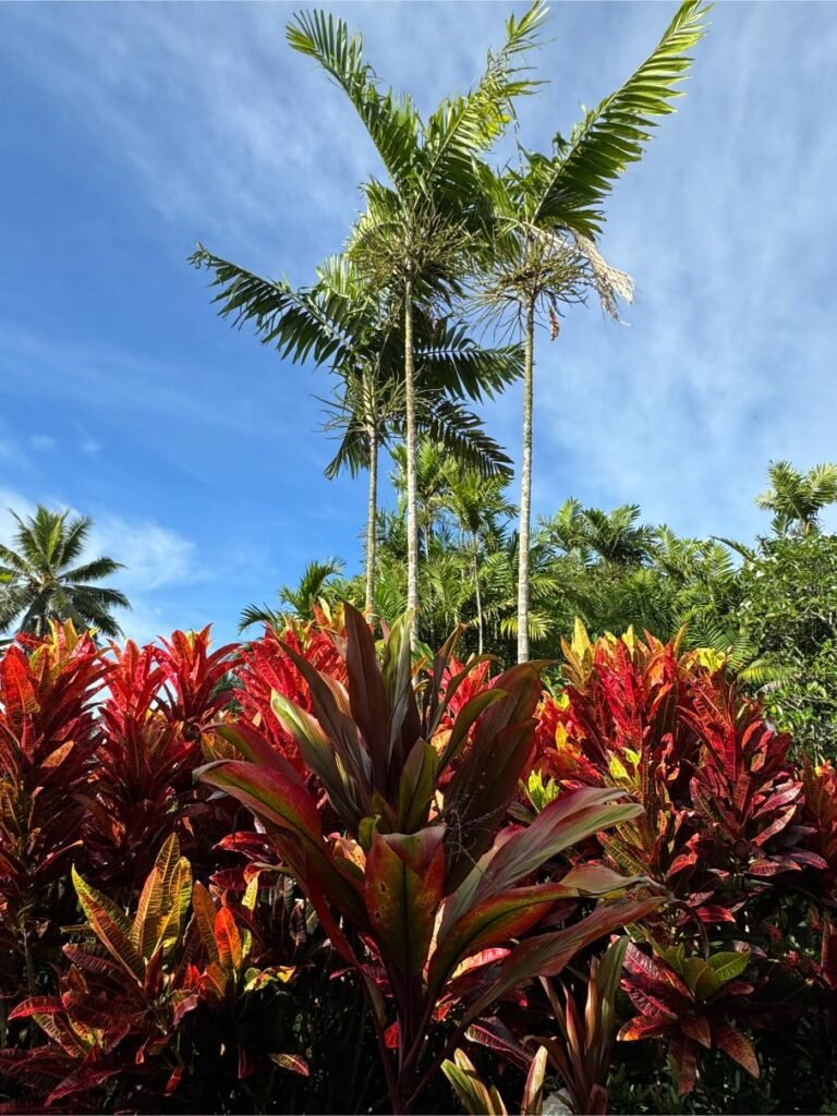 Tropical flowers and plants provide vivid hues