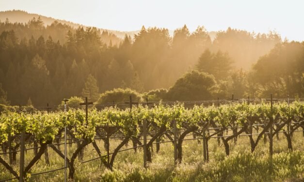 Where to Wine, Eat and Sleep in Mendocino County, California