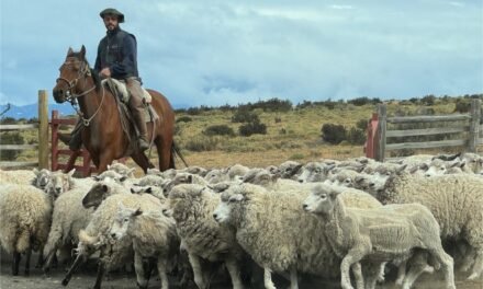 Patagonia: Immerse yourself in the soul-stirring landscape