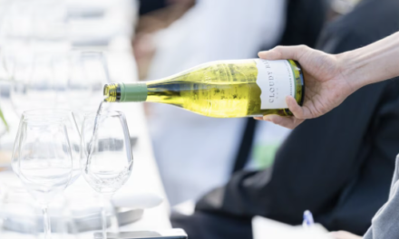 Sustainable Award-Winning Cloudy Bay New Zealand Wines