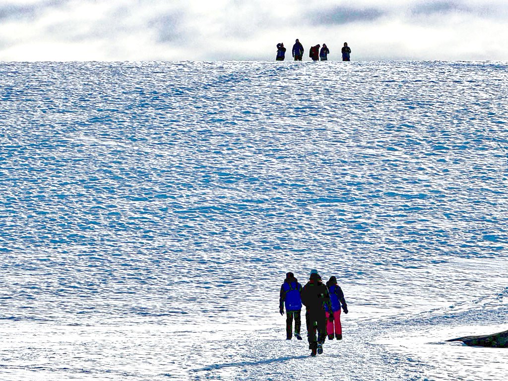 Expeditioners roaming the small flat peninsula on Winter Island which is part of the Argentine Islands and composed entirely of igneous rocks. Photo by Jett Britnell