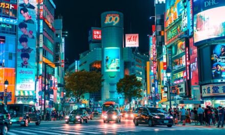 Tips for travelling to Japan on a digital nomad visa