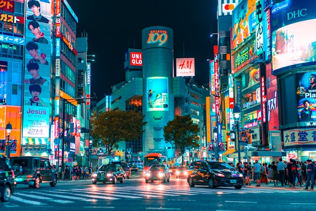 Tips for travelling to Japan on a digital nomad visa