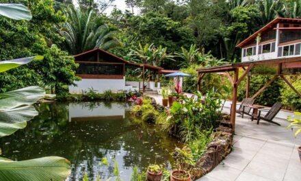 Get Away to a Simpler Time with a Wellness-Focused Vacation in the Belizean Jungle