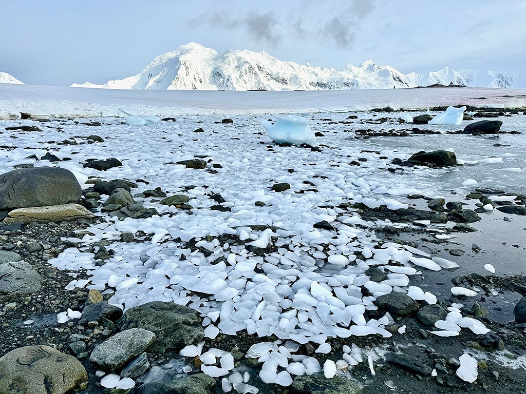 Antarctica is one of our planet’s most important biodiversity hotspots and ocean ecosystems. Photo by Jett Britnell