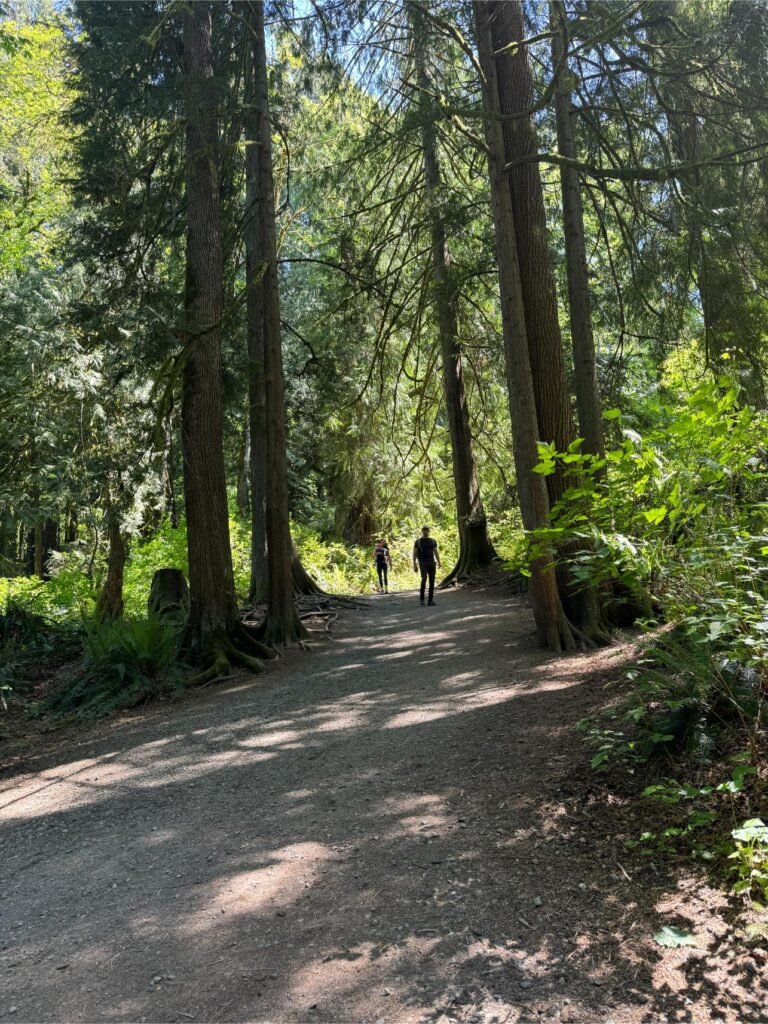 Take the trail to the bottom of the Falls. Photo by Debbie Stone