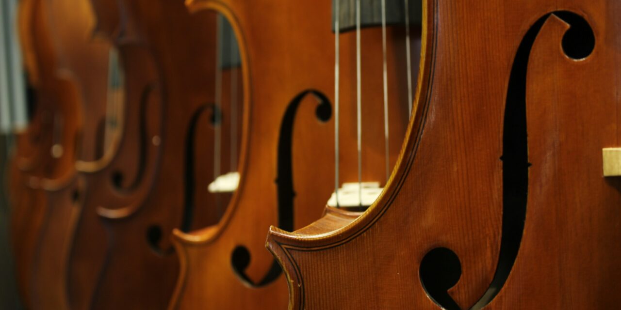 The Allure of Samuel Shen Double Basses: An In-Depth Exploration