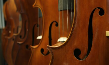 The Allure of Samuel Shen Double Basses: An In-Depth Exploration