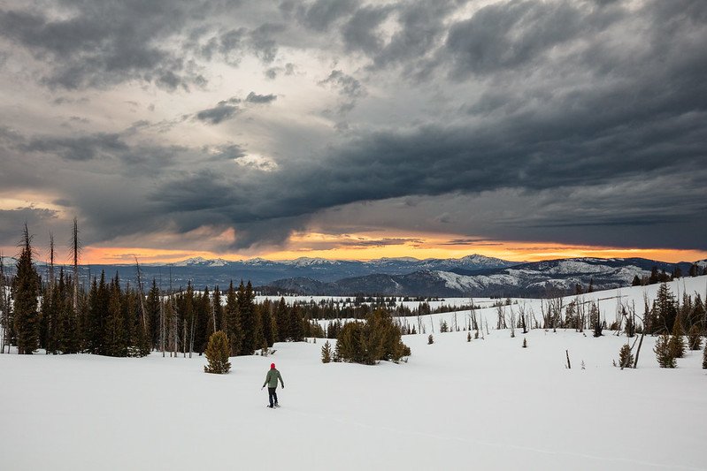 Snowshoeing back to camp at sunset on the Buffalo Plateau Trail