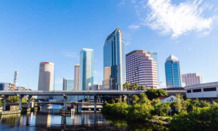Tampa Stay, Dine & Play Guide Before or After a Cruise