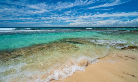 A Guide to Cruising the Caribbean: Tips And Recommendations