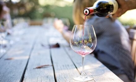 What Wine Sommeliers Suggest for Backyard Barbecues
