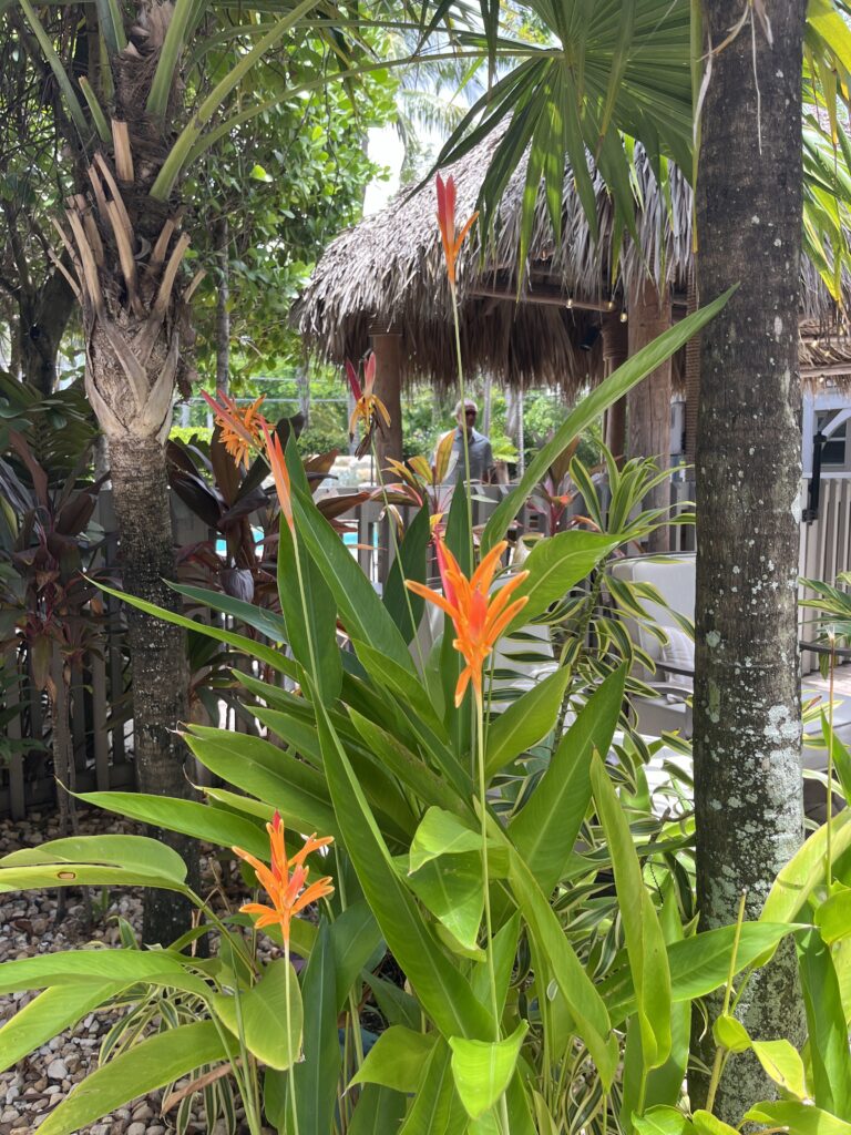 Lush foliage and flowers surround the property. Credit Kirsten Harrington