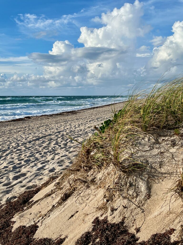 Delray Beach is a block away. Credit Kirsten Harrington