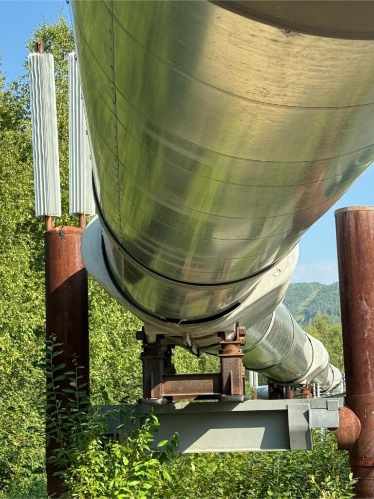 Trans Alaska Pipeline. Photo by Debbie Stone