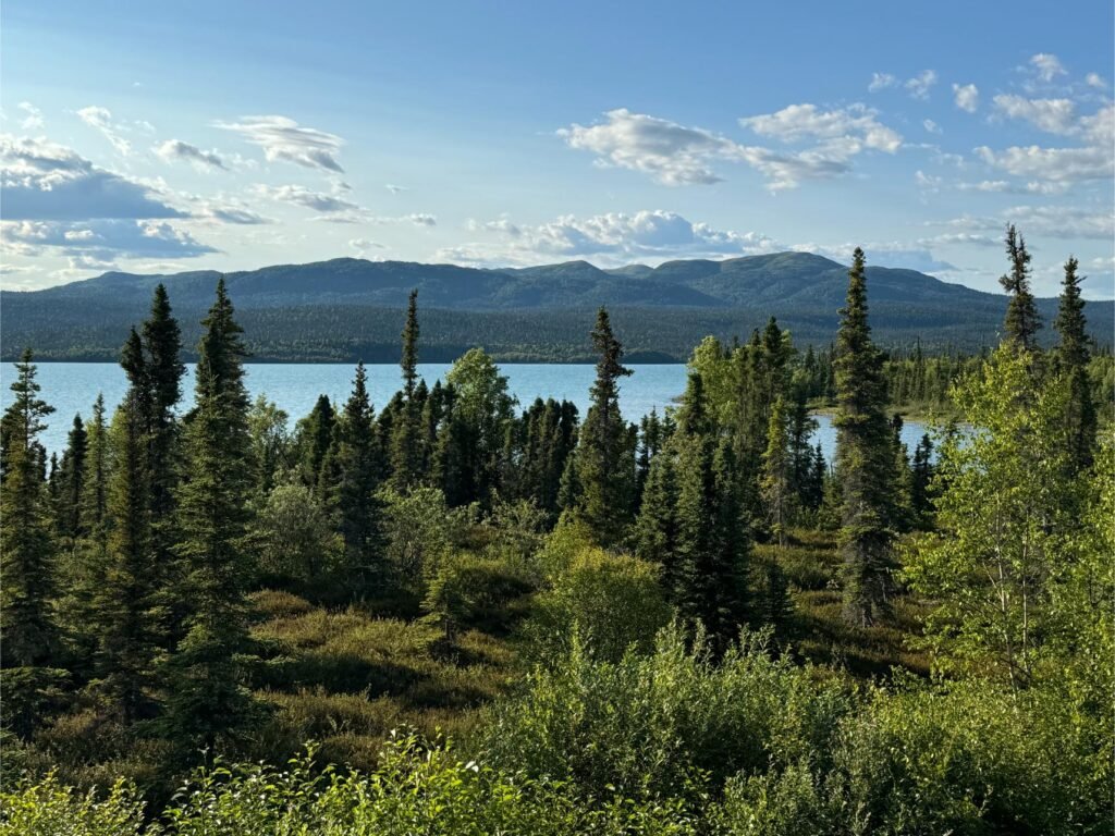 View from the lodge. Photo by Debbie Stone