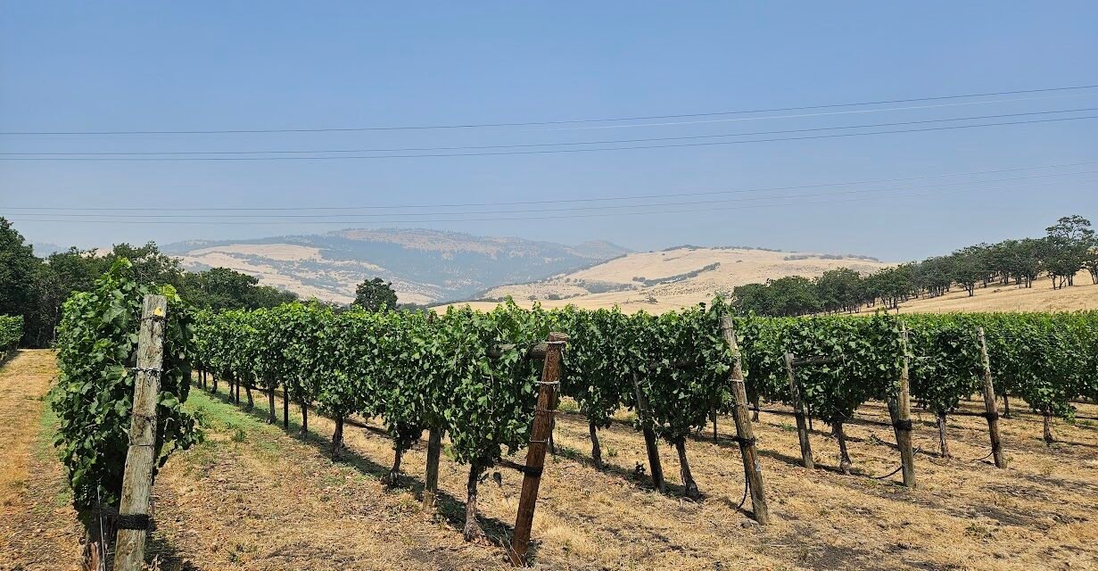 The Rogue Valley Southern Oregon Wine Country