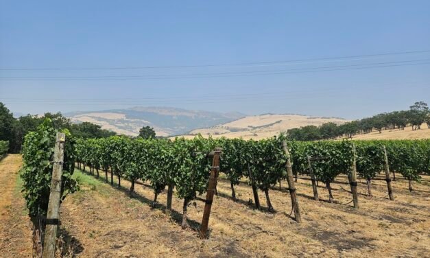 The Rogue Valley Southern Oregon Wine Country