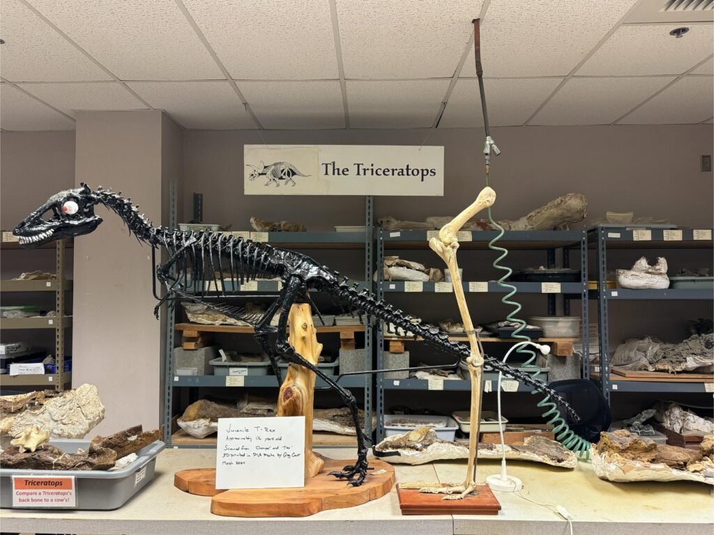 Paleontology lab. Photo by Debbie Stone