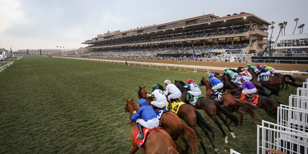 Chef Curtis Stone At The 2024 Breeders’ Cup World Championship