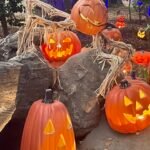 Autumn Carved Is Back At Descanso Gardens