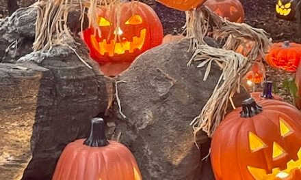 Autumn Carved Is Back At Descanso Gardens